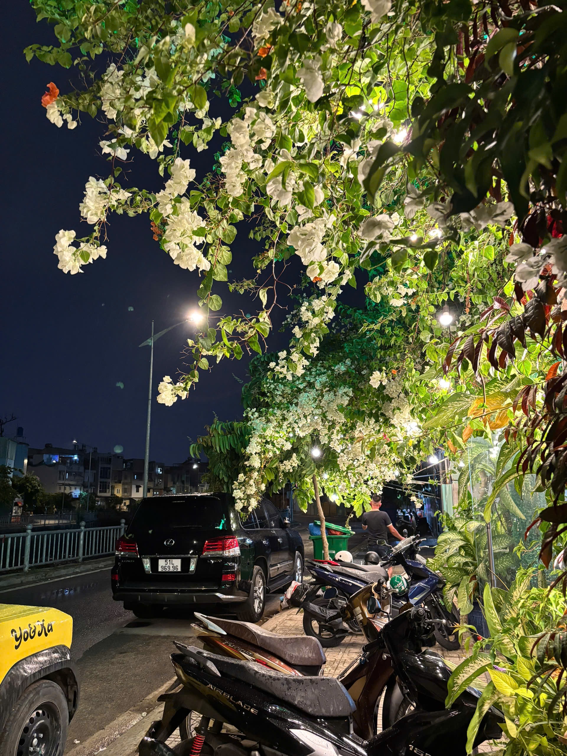 Mạ Tôi Gò Vấp - Lẩu Khổ Qua Rừng 339 Phạm Huy Thông - Không gian ngoài trời